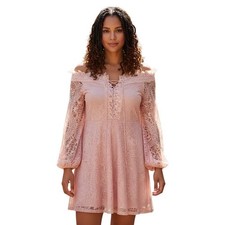 Double Crazy Womens Dress Fit & Flare Pink Lace XL Easter Renaissance