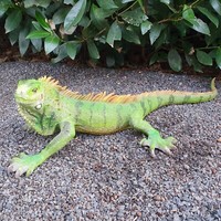 Gartenfigur Leguan Figur 60 Cm - Garten Teich Deko - Reptil Tierfigur Echse