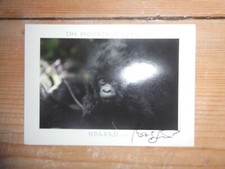 original Norbert Guthier-- Kunst