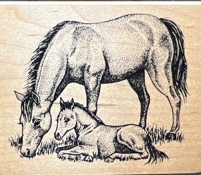 PSX Horses Mare Foal Colt Filly wood mount rubber stamp G1876 Farm Animals