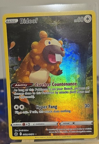 Bidoof — Crown Zenith: Galarian Gallery