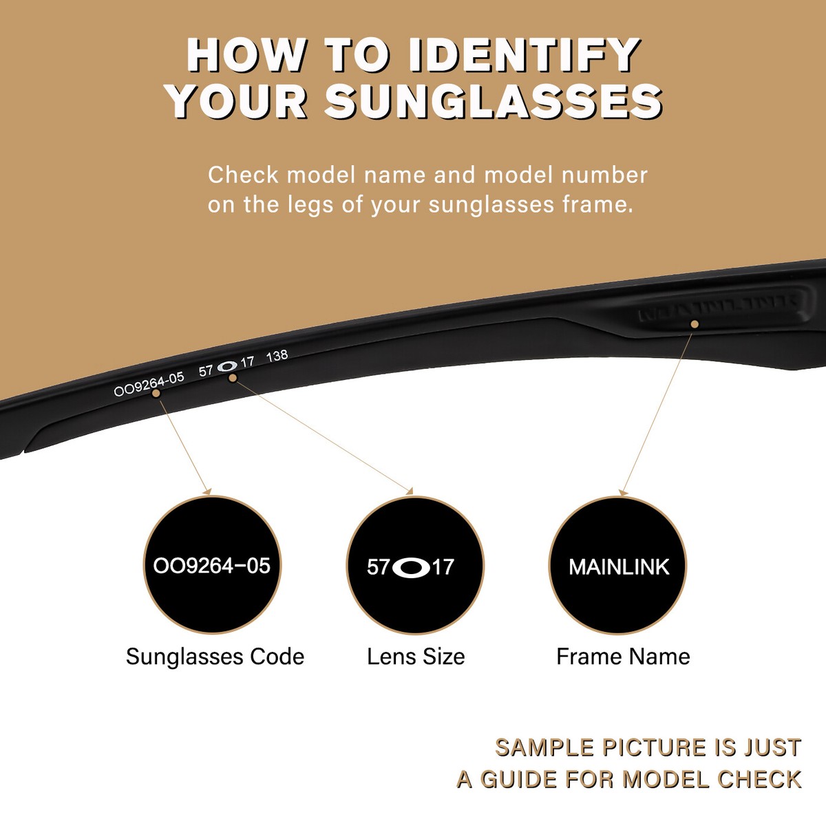Transition Replacement Lenses for Rudy Project Rydon SN79 Sunglass