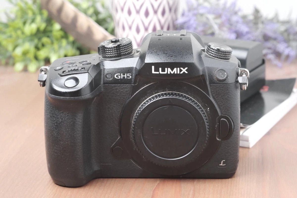 Panasonic Lumix GH5 Dustproof Digital Cameras for Sale - eBay