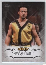 2016 Topps WWE Undisputed NXT Prospects Hideo Itami #NXT-19 0w6