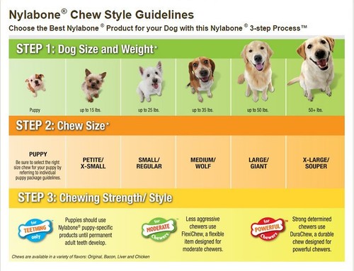 Nylabone DuraChew Femur Alternative Beef Flavored Bone Dog Chew Toy - Picture 7 of 9