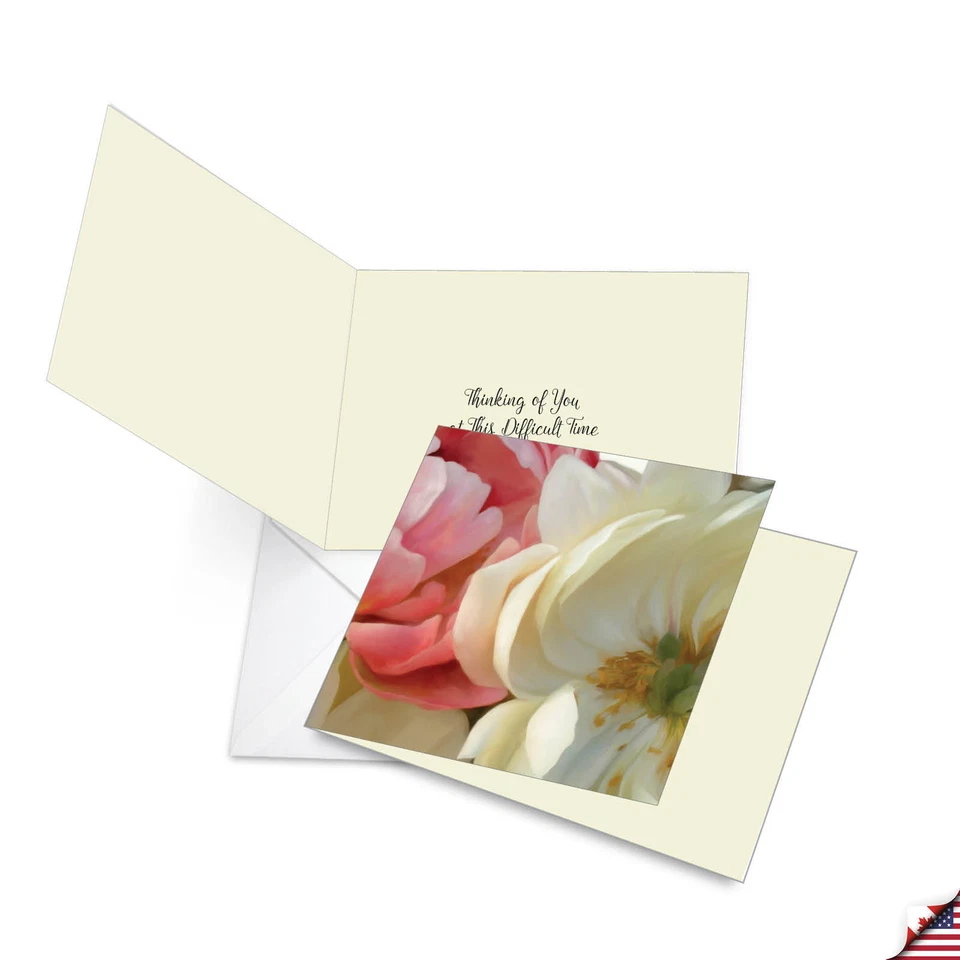 12 cartões de simpatia sortidos (2 designs, 6 cada) - Peony Passion MQ4606SMG-B6x2 - Imagem 4 de 4