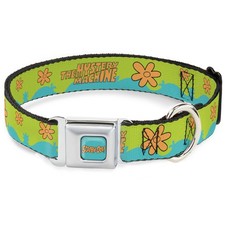 Dog Collar SDCG-SCOOBY DOO! Text Logo Full Co...