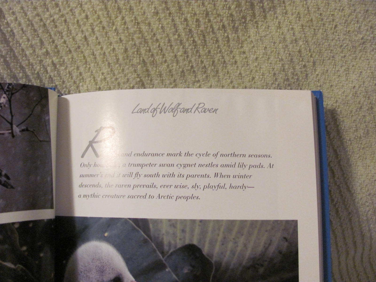 Picture 6 of 8