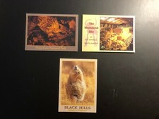Old Vintage"Hot Springs-SOUTH DAKOTA" (3) Post Cards Made in USA,JAPAN,KOREA