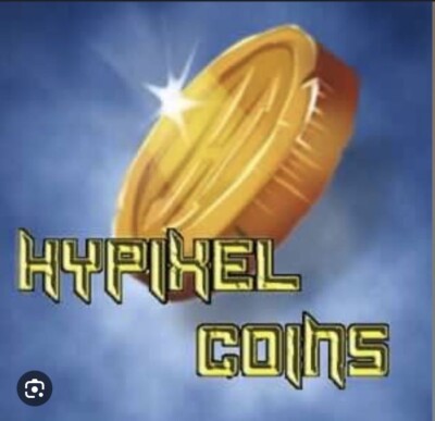 Hypixel Skyblock Coins|100m = 10 Euro|DE|