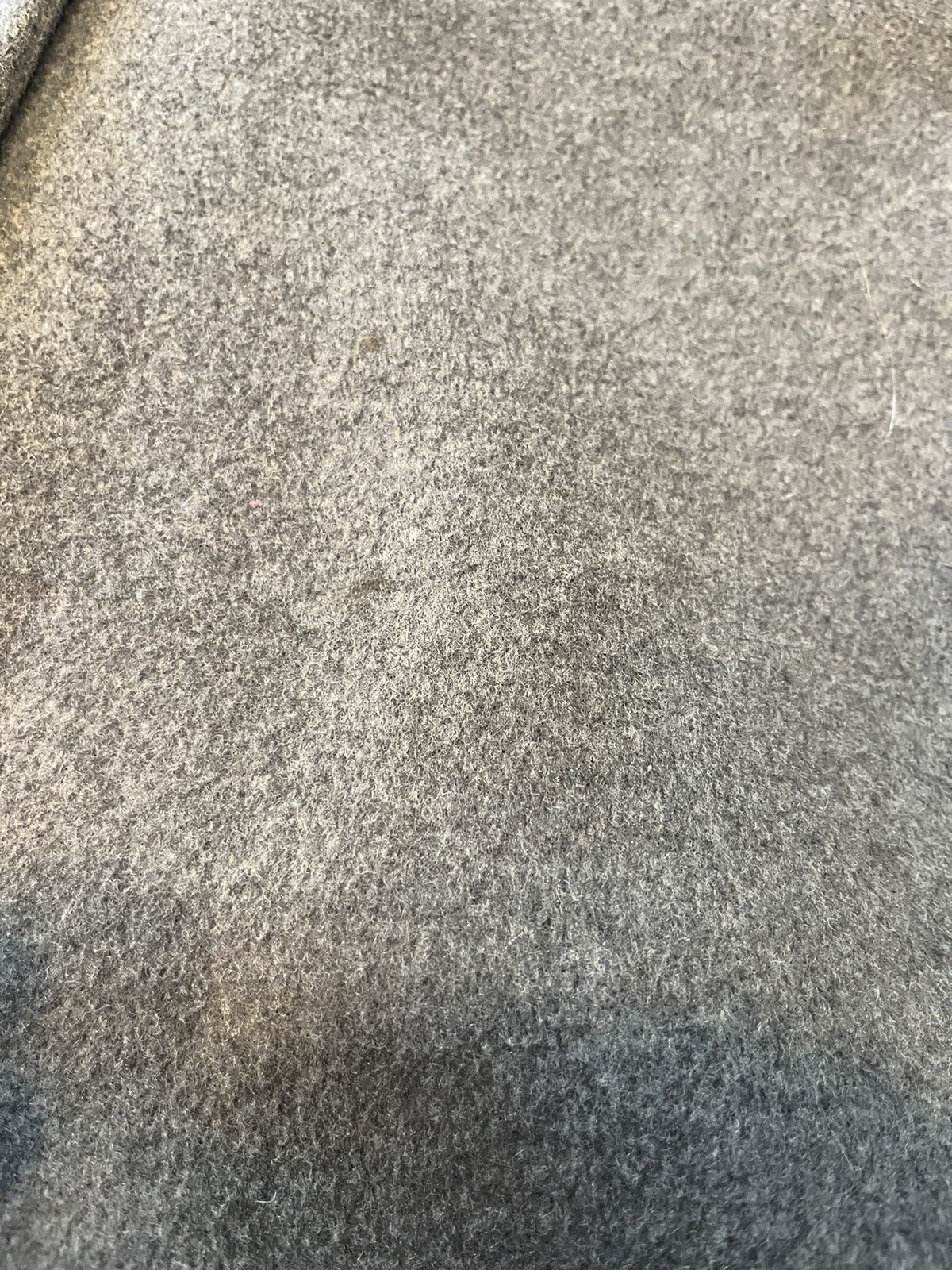 Picture 5 of 19