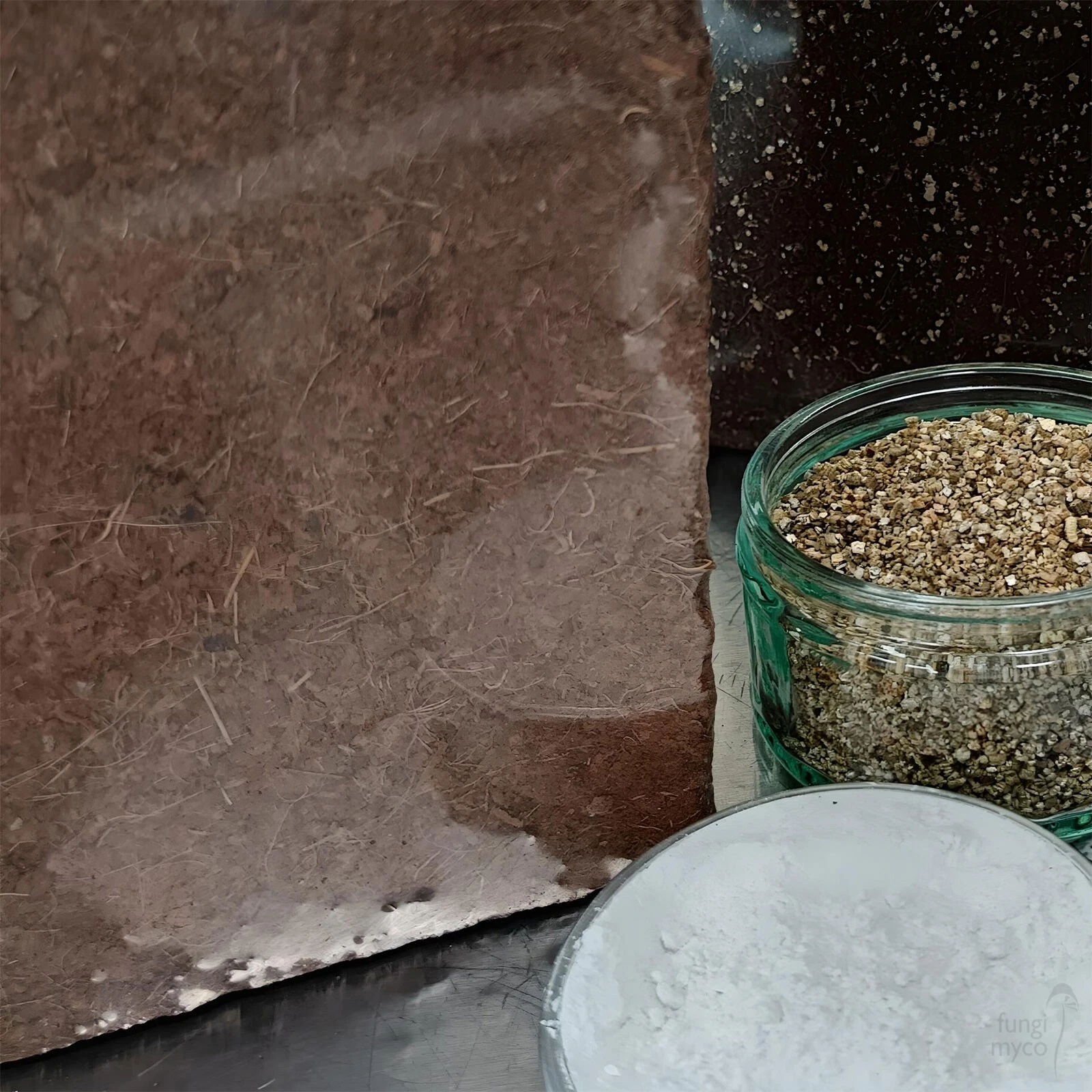 Grow Mushrooms with CVG for Beginners