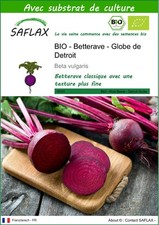SAFLAX - BIO - Betterave - Globe de Detroit - 100 graines - Avec substrat - Bet