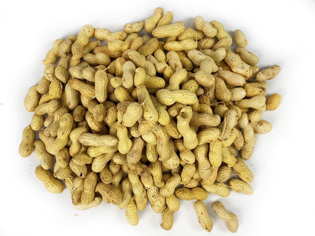 Bucktons Peanuts in Shells - Monkey Nuts For Squirrels 12.5kg