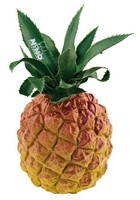 Meinl NINO595 Ananas Shaker