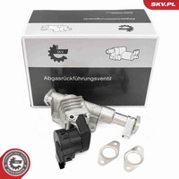 Esen Skv Agr Ventil 14SKV287 FüR Bmw 3Er Touring E91 1Er E87 E81 E92 E90 E88 E93