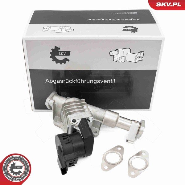 Esen Skv Agr Ventil 14SKV287 FüR Bmw 3Er Touring E91 1Er E87 E81 E92 E90 E88 E93-image