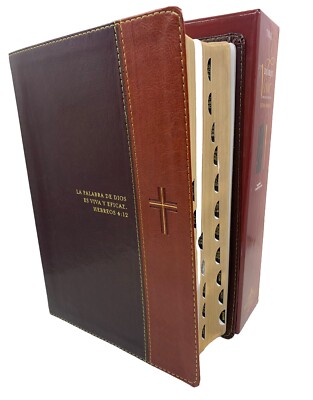 Biblia  De Estudio Letra Grande Diario Vivir Reina 1960 Simipiel Indice 11 PUNTO