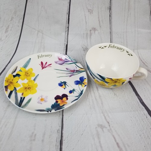 Spode February Flower of the Month Cup & Saucer No Box eBay