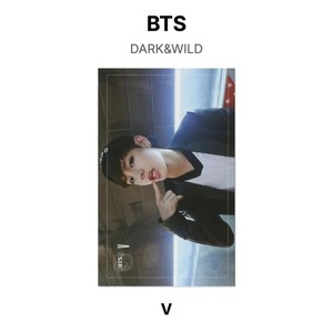 Bts Dark Wild | eBay