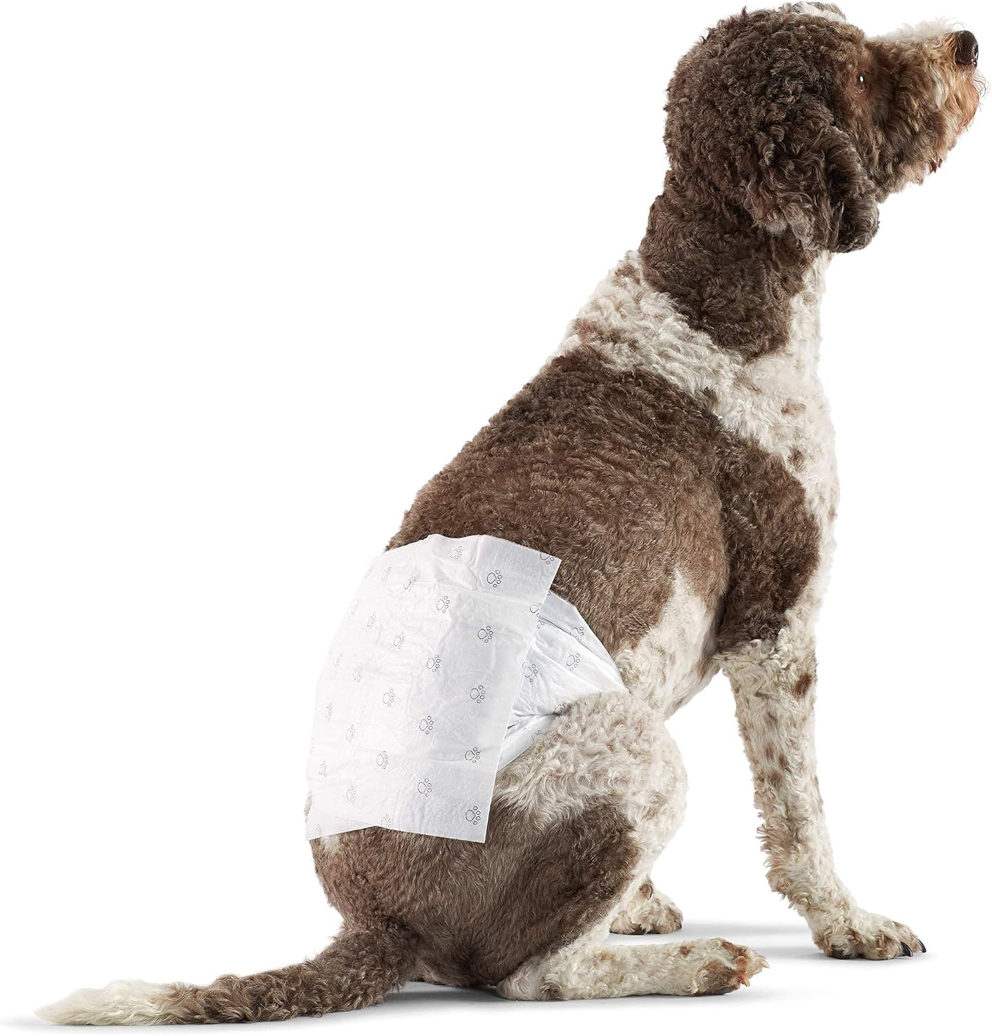 Pannolini a Fascia L per Cane Maschio - 50 Unità - Incontinenza e Igiene