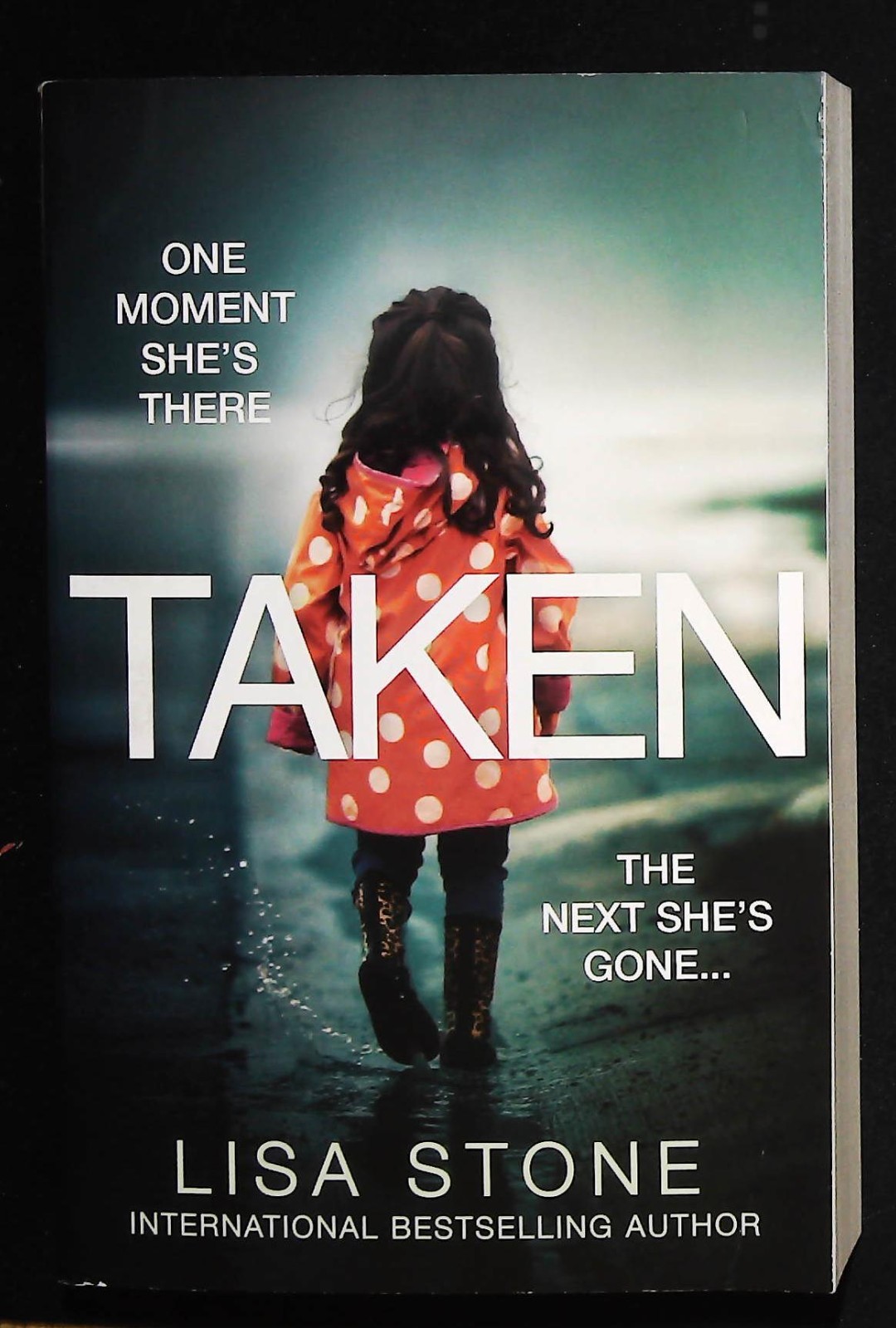 Lisa Stone Taken Book NEW Paperback Mystery Thriller Novel