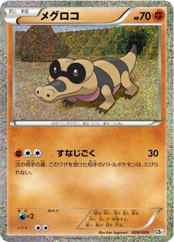 Sandile 008/009 Cs1: Journey Partners Collection Sheet