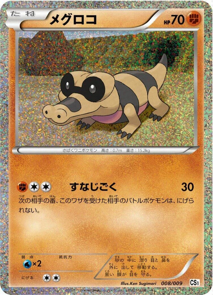Sandile 008/009 Cs1: Journey Partners Collection Sheet