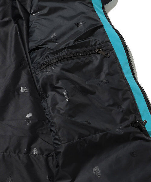 THE NORTH FACE Trans Antarctica Parka NP62238 GORE-TEX jade THE NORTH FACE Trans Antarctica Parka NP62238 GORE-TEX jade