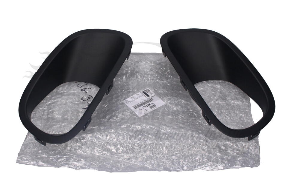 CITRO N C3 MK3 SX Front Bumper Side Trim Assy 1618082380 New