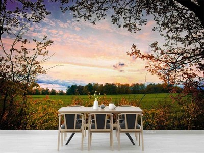 3D Nature Landscape Self-adhesive Removeable Wallpaper Wall Mural