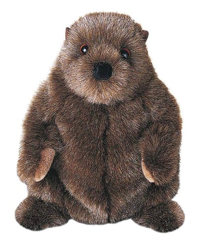 Douglas Chuckwood Groundhog Woodchuck Plush Stuffed Animal 