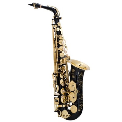 オーボエ　Selmer U.S.A Amazon.com: Selmer La Voix ll Alto Saxophone Outfit-Copper Finish