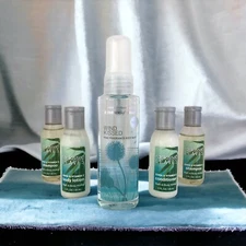 Essence of Beauty Fine Fragrance Body Mist Wind Kissed, 2 Fl. Oz. Christmas Gift