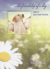 Dog with Wings Die Cut Window Designer Greetings Pet Sympathy Card