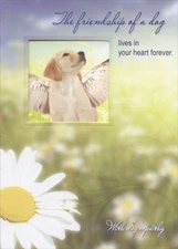 Dog with Wings Die Cut Window Designer Greetings Pet Sympathy Card
