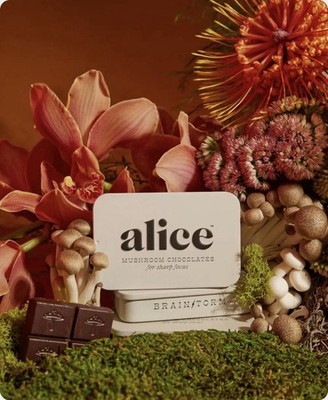Alice Mushrooms Brainstorm | Mushroom Chocolates | Energy Bites for Focus, Clari
