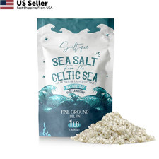 French Grey Sea Salt from the Celtic Fine Ground - 16 Ounce Pack of 1 