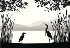 Canvas art print gicl e poster pillow. Egret Heron birds in Marsh wildlife