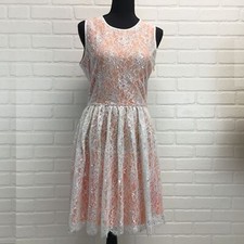 Anthropologie Erin Fetherston Metallic Lace Overall Fit & Flare Dress Size 6