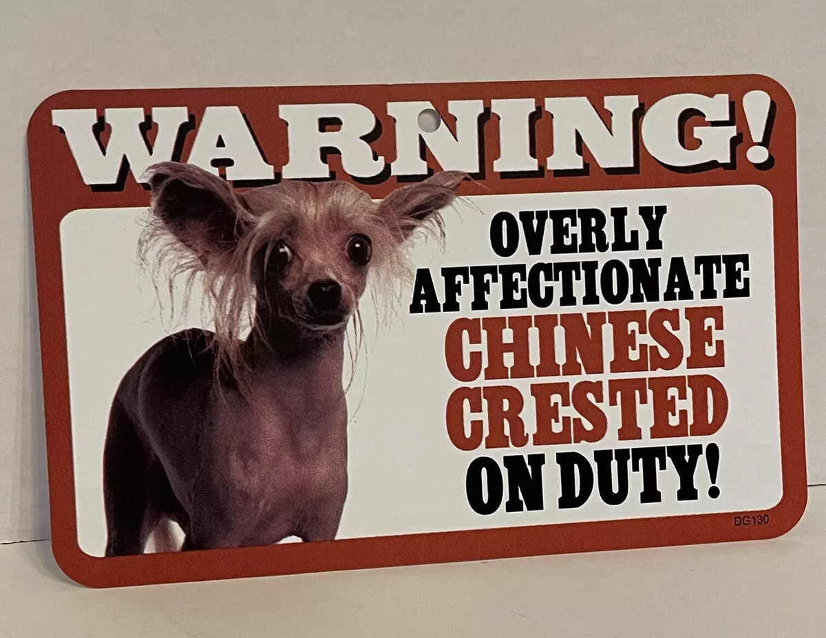 Toy chinese cheap crested