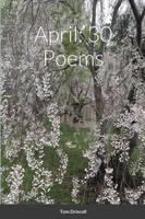 April 30 Poems Tom Driscoll Taschenbuch Kartoniert / Broschiert Englisch 2021