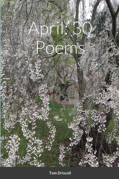 April 30 Poems Tom Driscoll Taschenbuch Kartoniert / Broschiert Englisch 2021-image