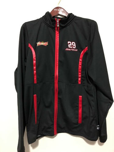 Chase Authentics, 29 Kevin Harvick 
