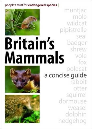 Britain's Mammals by People's Trust for Endangered Species (Paperback Book) - Image 4