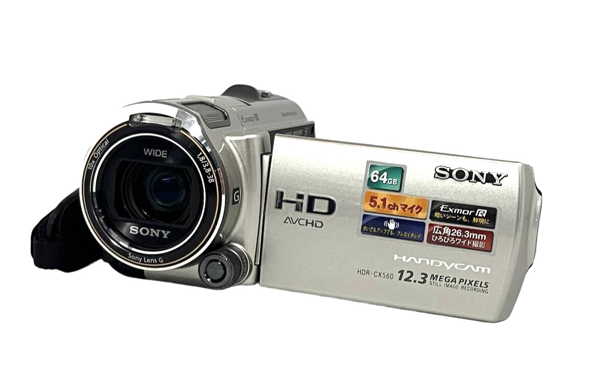 SONY HDR-CX560V Digital Handycam HD Video Camera Silver Test