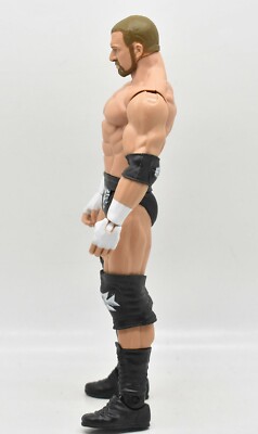 WWE Triple H Wrestlemania 34 Wrestling Loose Action Figure Mattel