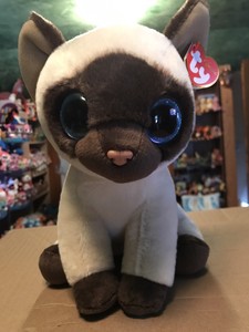 ty jaden siamese cat