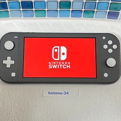 Switch Lite Gray console 32GB Region Free Tested Nintendo Japan