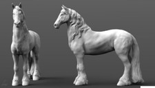 Peddinghaus 3 D Impression 1/48 48300 Cheval Frison